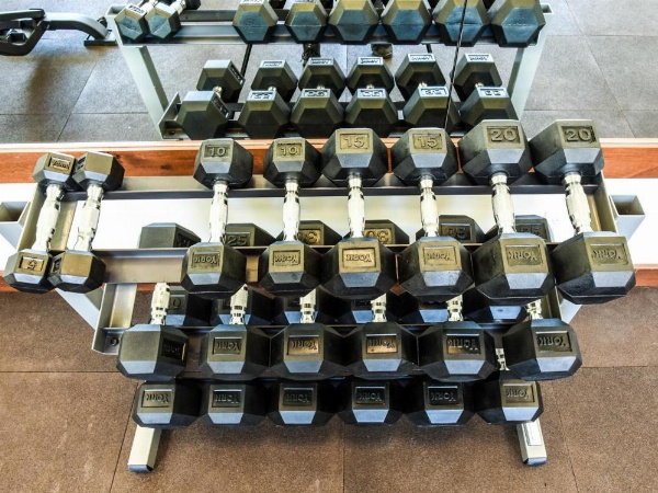 Zalanta - Lake Tahoe image 12